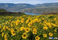 Tags: coast, crater, hills, lake, oregon, painted (Pict. in Beautiful photos and wallpapers)