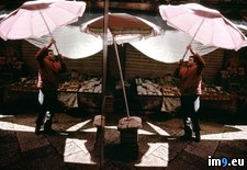 Tags: marketplace, palermo (Pict. in National Geographic Photo Of The Day 2001-2009)