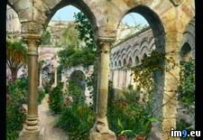 Tags: arches, cloister, degli, eremiti, garden, giovanni, palermo, san (Pict. in Branson DeCou Stock Images)