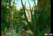 Tags: camastre, gardens, palermo, tasca, villa (Pict. in Branson DeCou Stock Images)