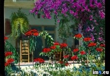 Tags: burned, california, closed, courtyard, flowers, hotel, mirador, palm, springs, walkway (Pict. in Branson DeCou Stock Images)
