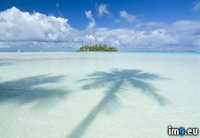 Tags: palm, paradise, tahiti, tree (Pict. in Beautiful photos and wallpapers)
