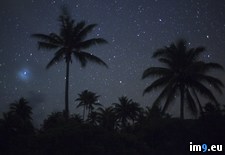 Tags: french, palm, polynesia, skies, starry, trees (Pict. in Beautiful photos and wallpapers)