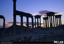Tags: ancient, palmyra, ruins (Pict. in National Geographic Photo Of The Day 2001-2009)