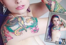 Tags: boobs, emo, girls, hot, paloma, sexy, suicidegirls, tasteofheaven, tatoo (Pict. in SuicideGirlsNow)