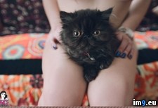 Tags: boobs, emo, hot, nature, paloma, porn, sexy, softcore, tatoo, threecoolcats (Pict. in SuicideGirlsNow)
