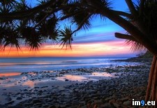Tags: australia, beach, national, noosa, pandanus, park, queensland, sunset (Pict. in Beautiful photos and wallpapers)
