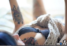 pandub-1000pinups-03 (#Tits #Hot #Sexy #Emo #Tatoo #Pandub) - 80 KB Tags: emo, girls, hot, pandub, sexy, softcore, suicidegirls, tatoo, tits (Pict. in SuicideGirlsNow)