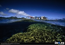 Tags: pearl, reef, station (Pict. in National Geographic Photo Of The Day 2001-2009)