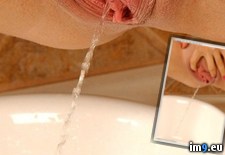 Tags: favorite, updated (Pict. in My r/PEE favs)