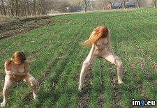 Tags: field (Pict. in My r/PEE favs)