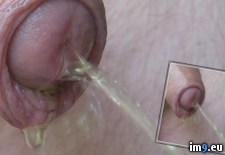 Tags: enjoy, images (Pict. in My r/PEE favs)