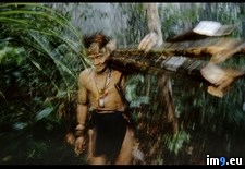 Tags: penan, tribesman (Pict. in National Geographic Photo Of The Day 2001-2009)