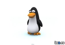 Tags: animals, cartoons, for, funny, kids, penguin, wallpaper (Pict. in Cartoon Wallpapers And Pics)