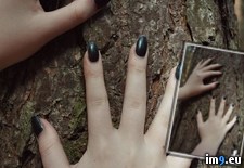 Tags: emo, girls, intothewoods, nature, persephonepoison, porn, sexy, suicidegirls, tits (Pict. in SuicideGirlsNow)