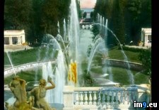 Tags: cascade, fountains, grand, palace, park, peterhof (Pict. in Branson DeCou Stock Images)