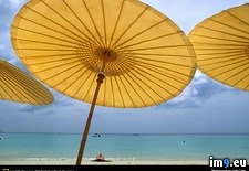 Tags: phuket, umbrella (Pict. in National Geographic Photo Of The Day 2001-2009)