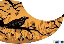 Tags: bird, branch, guard, pick (Pict. in Custom Pickguard Art)
