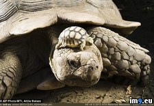 Tags: day, mom, old, son, year (Pict. in My r/PICS favs)