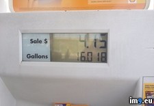 Tags: change, error, favor, gas, got, prepaying, price (Pict. in My r/PICS favs)