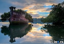 Tags: bay, boat, floating, forest, homebush, old, sprouting, sydney, year (Pict. in My r/PICS favs)