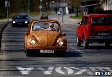 Tags: beetle, bosnian, man, oak, pieces, volkswagen, wooden (Pict. in My r/PICS favs)