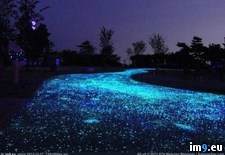 Tags: cement, dark, driveway, glow, mixed, pieces, plastic (Pict. in My r/PICS favs)