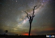 Tags: did, friend, good, photo, promised, stargazing, trip (Pict. in My r/PICS favs)