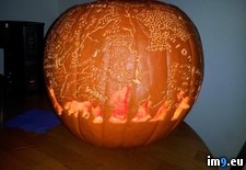 Tags: but, end, entire, finished, for, halloween, karma, late, lotr, pumpkin, result, train, week (Pict. in My r/PICS favs)