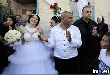 Tags: aviv, bride, groom, jewish, marry, muslim, police, protest, tel (Pict. in My r/PICS favs)