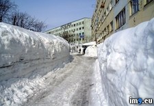 Tags: anormaldayinrussia, day, kamchatsky, normal, petropavlovsk, town, winter (Pict. in My r/PICS favs)