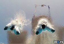 Tags: splash (Pict. in My r/PICS favs)