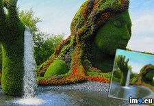 Tags: amazing, fountain, topiary (Pict. in My r/PICS favs)