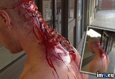 Tags: amazing, special (Pict. in My r/PICS favs)
