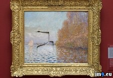 Tags: man, million, monet, painting, punched (Pict. in My r/PICS favs)