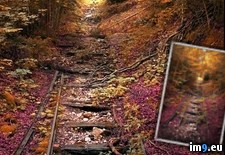 Tags: abandoned, fall, railroad (Pict. in My r/PICS favs)