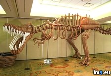 Tags: balloon, dinosaur (Pict. in My r/PICS favs)