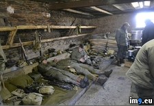 Tags: ago, bastogne, battle, bulge, couple, foxholes, years (Pict. in My r/PICS favs)