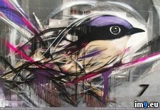 Tags: artist, beautiful, birds, brazilian, graffiti, l7m, street (Pict. in My r/PICS favs)