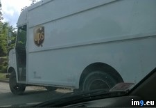 Tags: albino, behold, rare, spotted, truck, ups, wild (Pict. in My r/PICS favs)