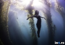 Tags: bought, convinced, dress, forest, jump, kelp, you (Pict. in My r/PICS favs)