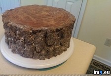 Tags: awesome, cake, dad, daughter, lumberjack (Pict. in My r/PICS favs)