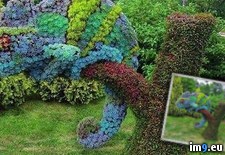 Tags: chameleon, topiary (Pict. in My r/PICS favs)