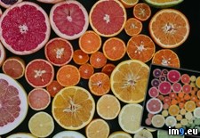 Tags: citrus (Pict. in My r/PICS favs)