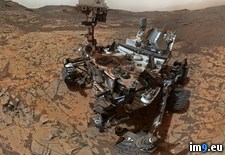 Tags: curiosity, latest, selfie (Pict. in My r/PICS favs)