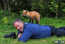 Tags: appeared, cub, dad, fox, photography, suddenly, wild, wildlife (Pict. in My r/PICS favs)