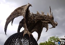 Tags: dragon, driftwood (Pict. in My r/PICS favs)