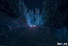 Tags: driving, forest, peaceful, snowy (Pict. in My r/PICS favs)