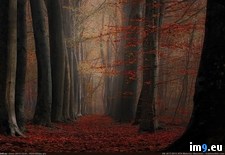 Tags: earth, planet, red (Pict. in My r/PICS favs)