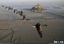 Tags: one, picture (Pict. in My r/PICS favs)